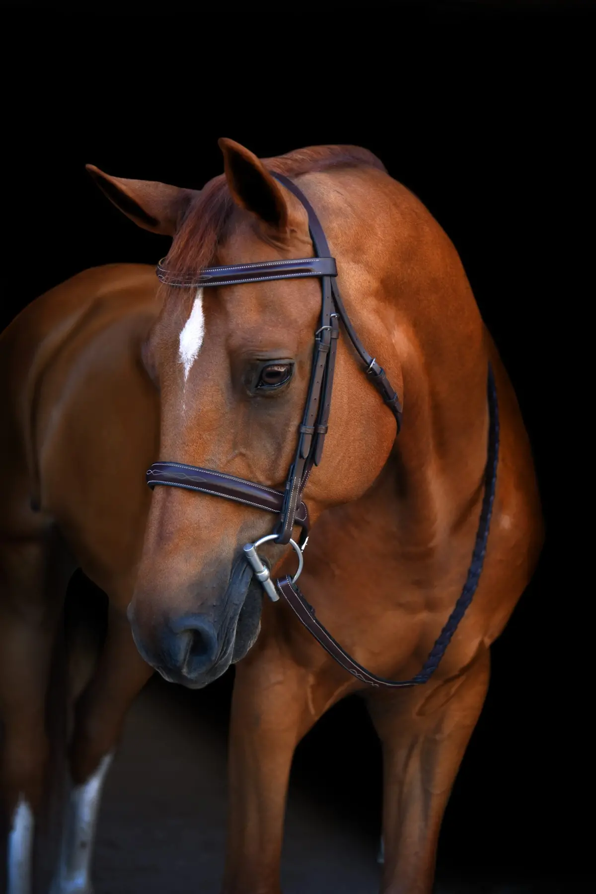 Kl Select Black Oak Poppy Hunter Bridle 1