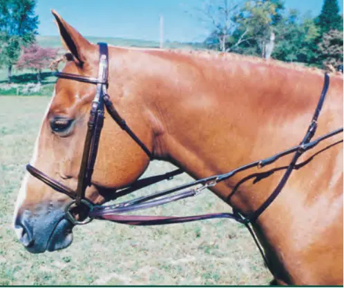 Tory Leather German Martingale 1