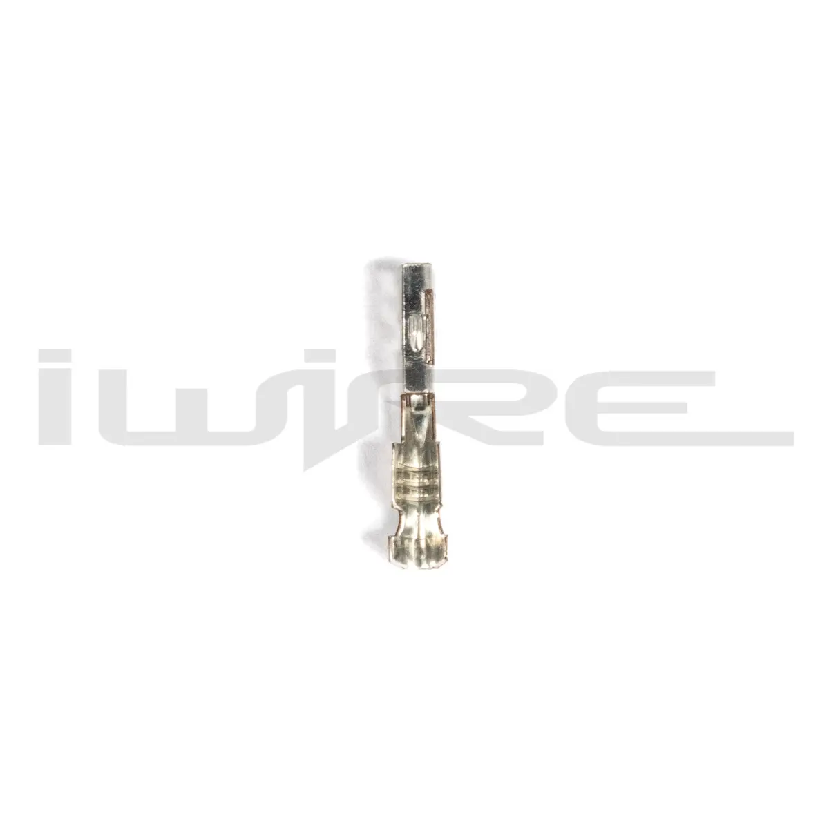 Dbw Ecu Large Terminals 1
