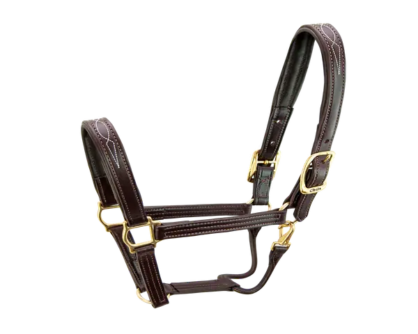 Walsh Signature Padded Halter 1
