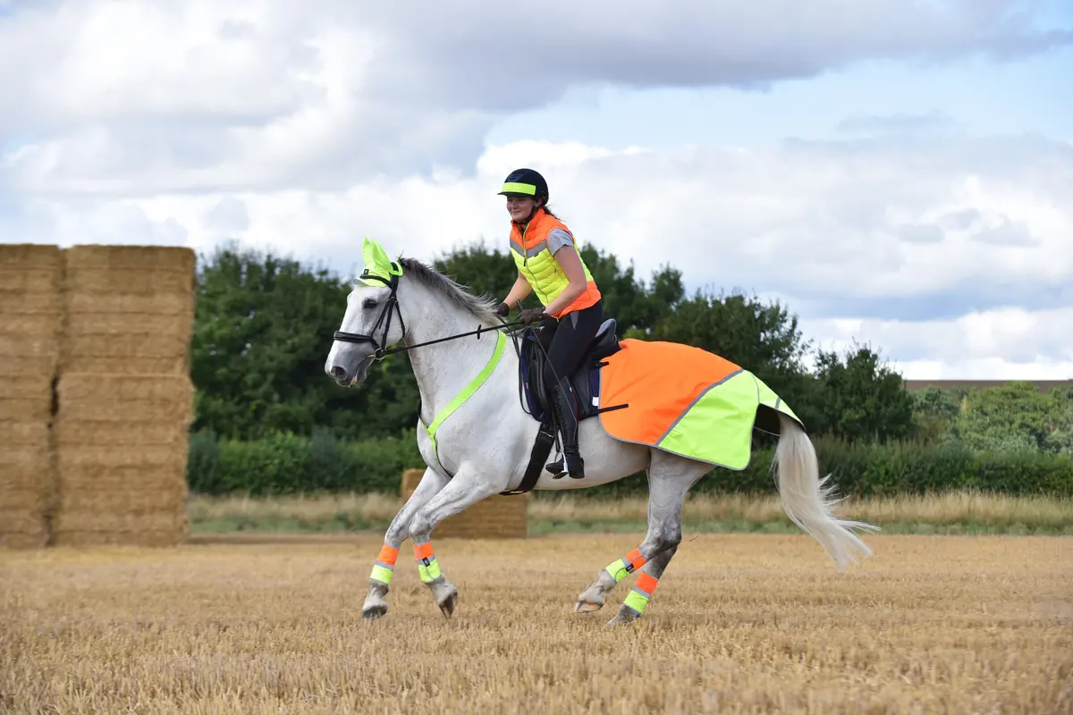 Equisafety Multi Coloured Waterproof Hi Viz Horse Sheet - Pink/Yellow 2