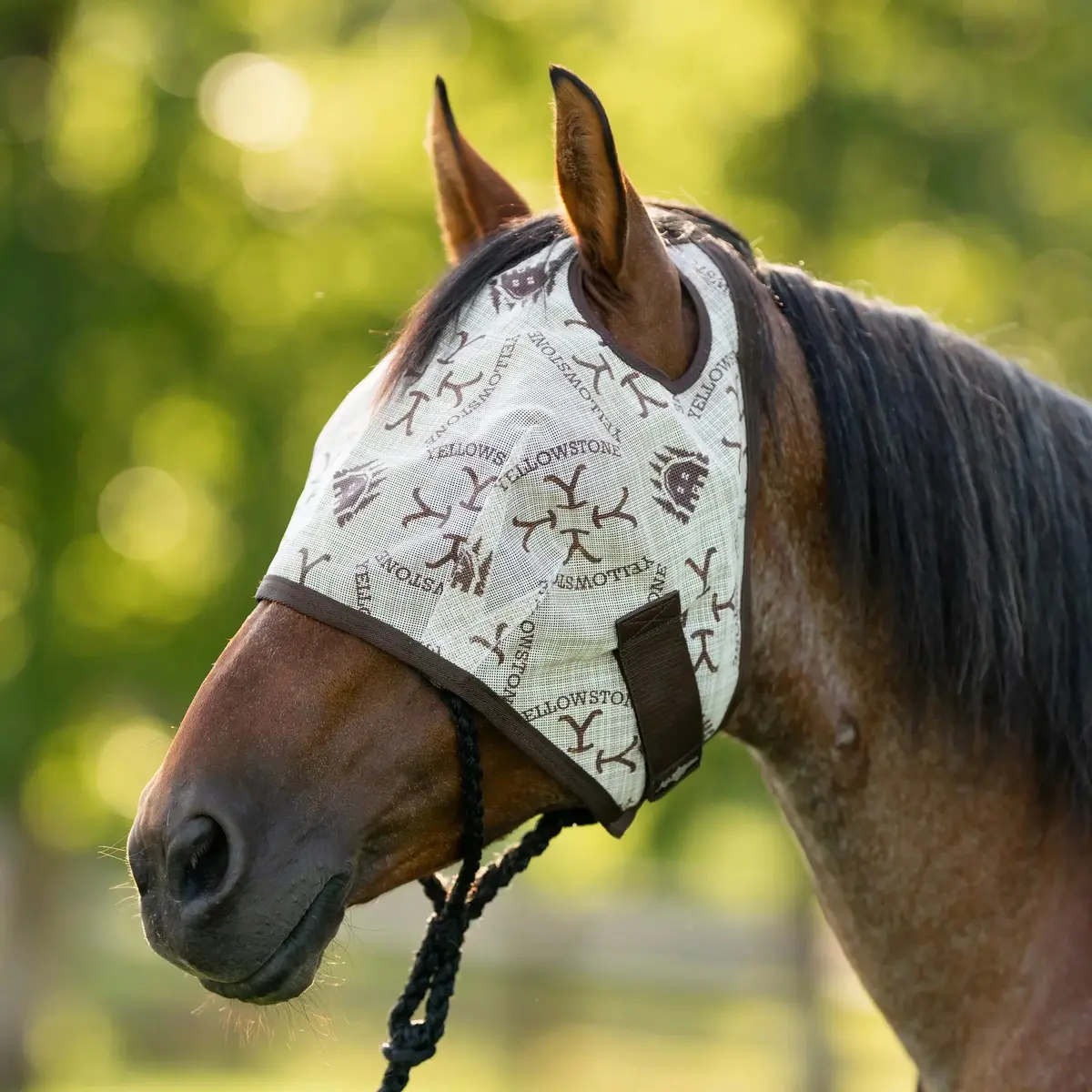 Yellowstone Equine Fly Mask - 73% Uv Blocking 1