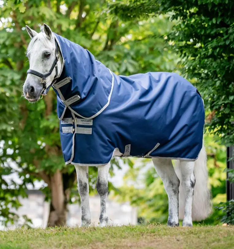 Amigo Bravo 12 Plus Pony Med (250G) - Clearance 1