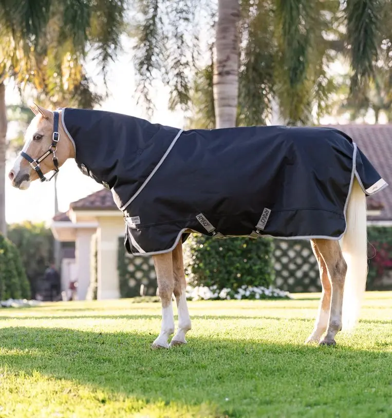 Amigo® 1200D Plus Turnout 250G ---Clearance 1