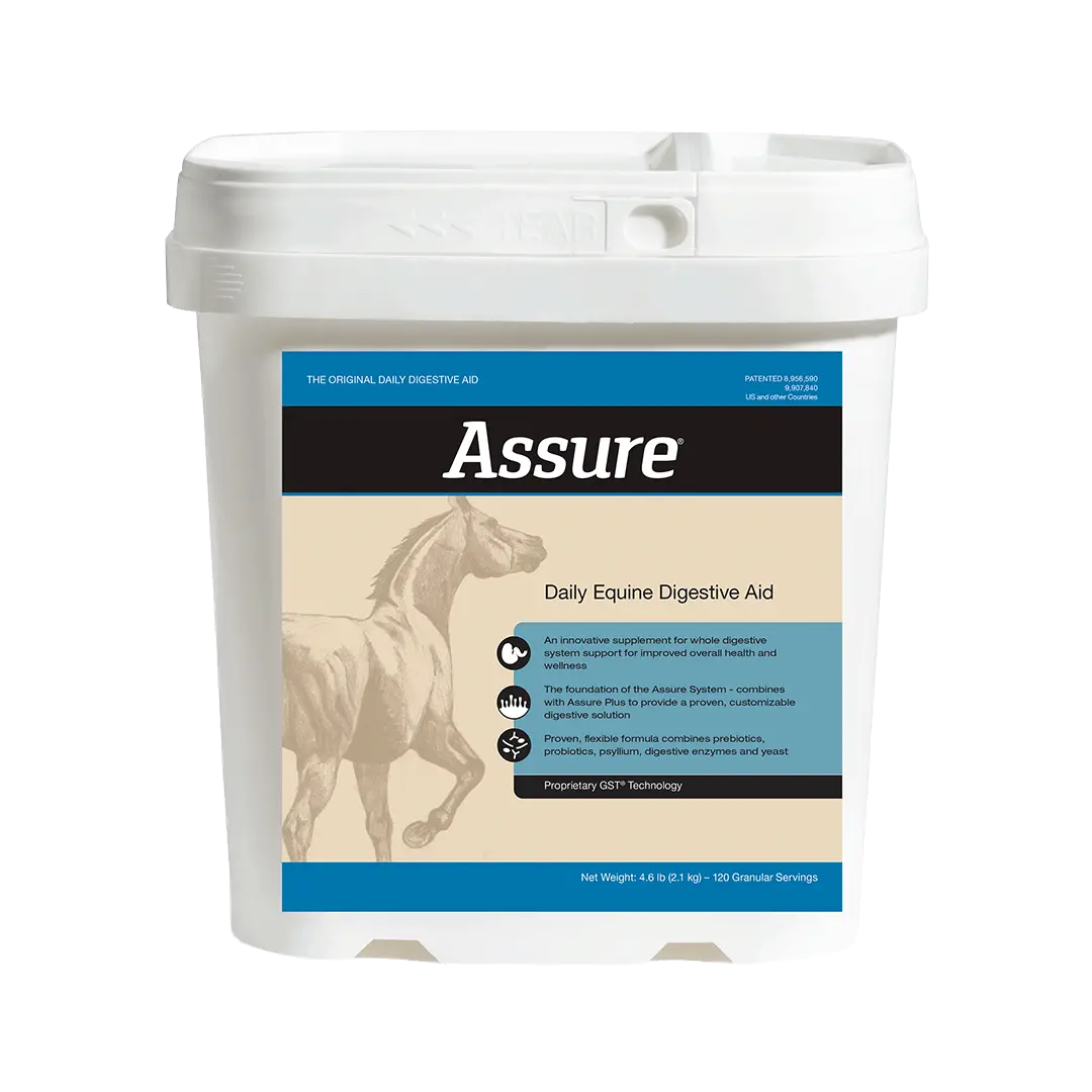 Assure Equine Digestive Support Supplement 1
