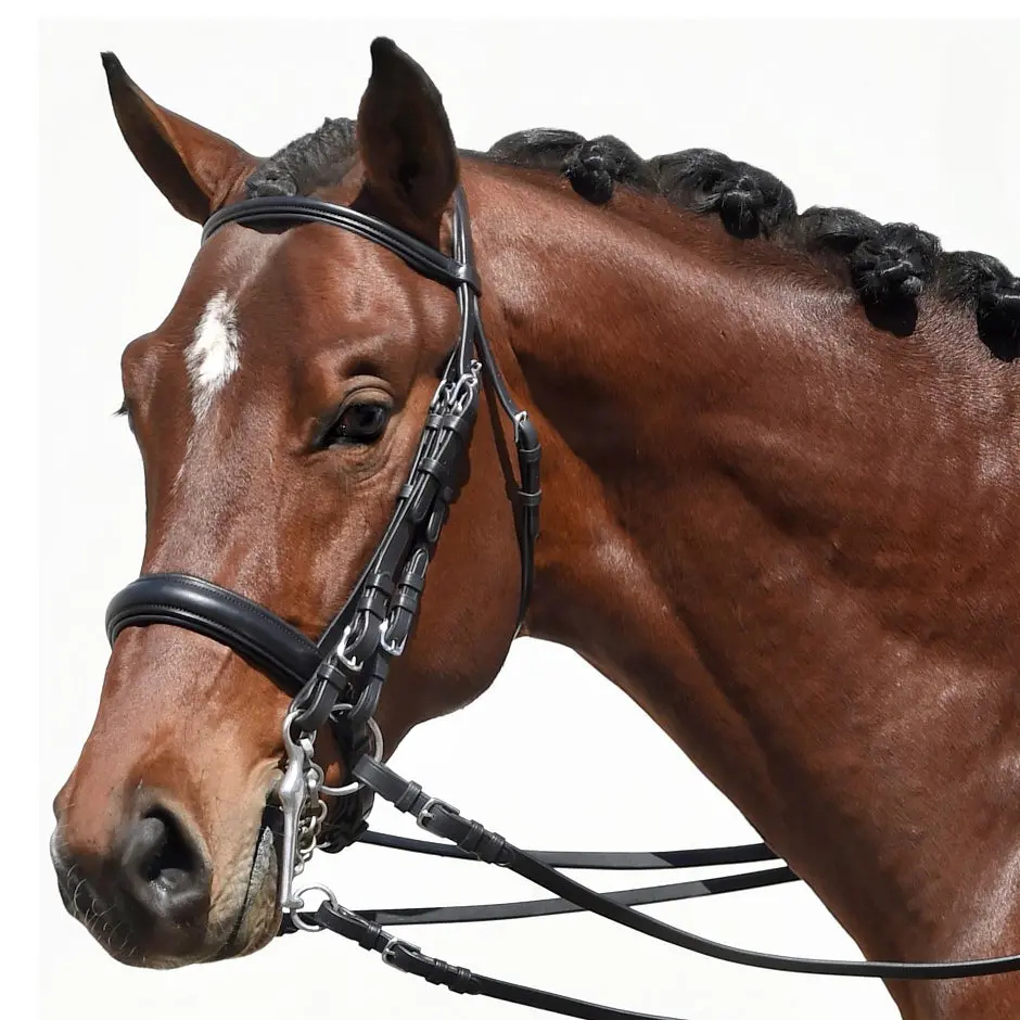 Bobby's Tack Padded Dressage Weymouth Double Bridle 1