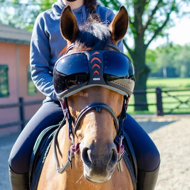 Equick Evysor Horse Mask - Horse Comfort - Darker 1