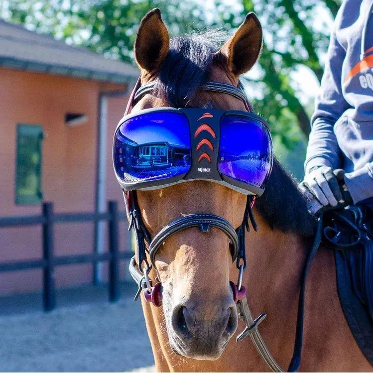 Equick Evysor Horse Mask - Horse Comfort - Mirrored Blue 1
