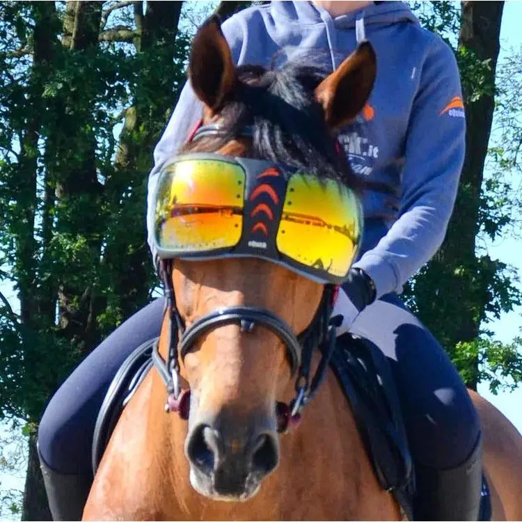 Equick Evysor Horse Mask - Horse Comfort - Mirrored Orange 1