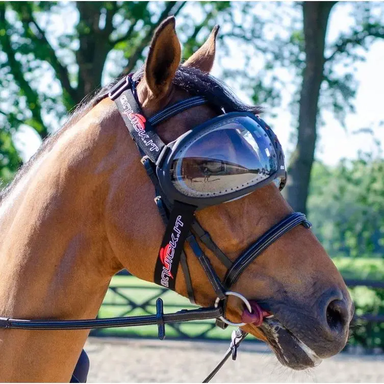 Equick Evysor Horse Mask - Horse Comfort - Transparent 1