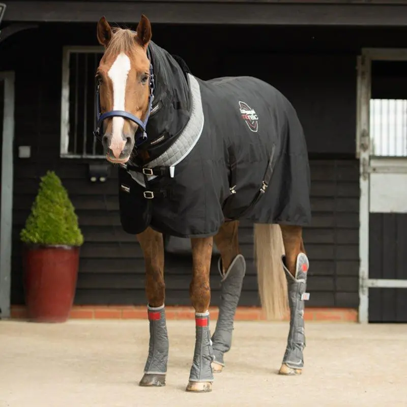 Equilibrium Magnetic Rug Black 1