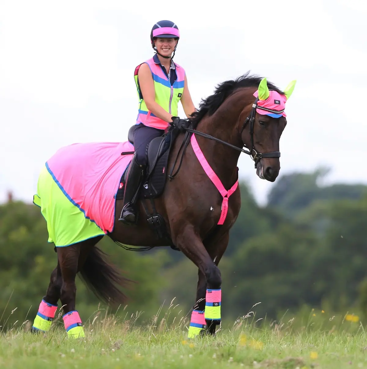 Equisafety Hi Vis Ear Bonnet P/Y 1