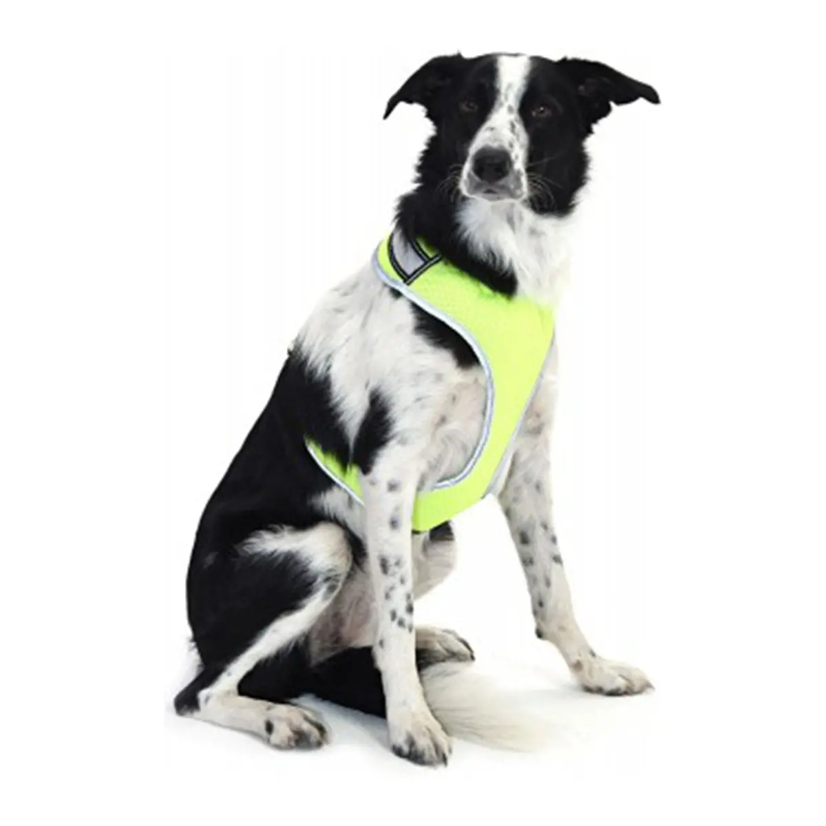 Equisafety Led Hi Vis Reflective Dog Harness  Small - Yellow 1