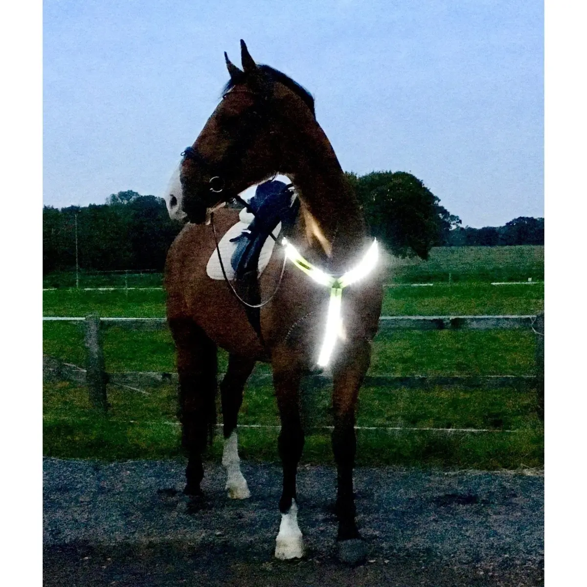 Equisafety Led Rechargeable Breastplate - Pink 1
