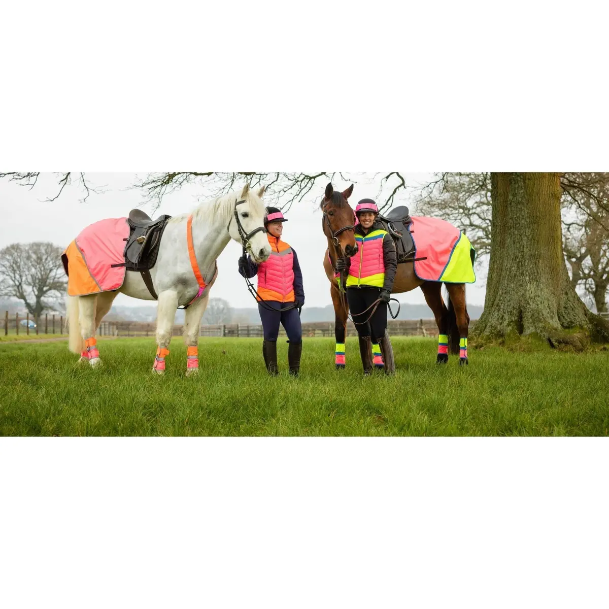 Equisafety Multi Coloured Waterproof Hi Viz Horse Sheet - Pink/Orange 5