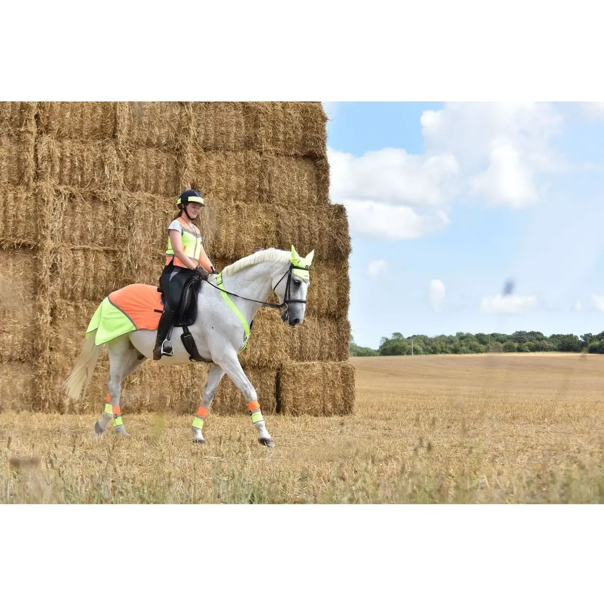 Equisafety Multi Coloured Waterproof Hi Viz Horse Sheet - Pink/Orange 4