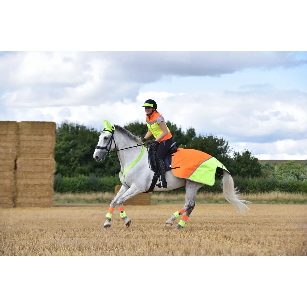 Equisafety Multi Coloured Waterproof Hi Viz Horse Sheet - Yellow / Orange 2