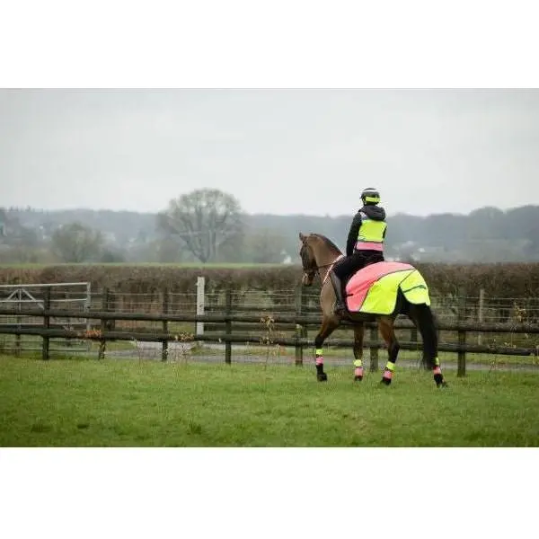 Equisafety Multi Coloured Waterproof Hi Viz Horse Sheet - Yellow / Orange 5