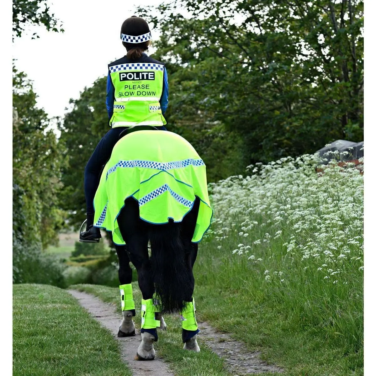 Equisafety Polite Hi Viz Horse Mesh Sheet 1