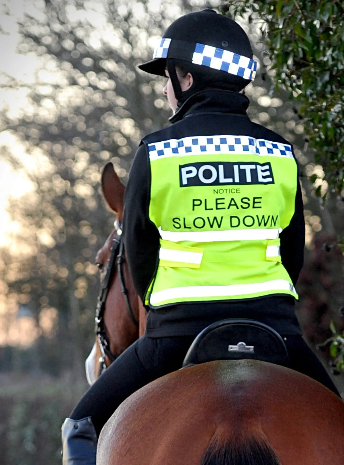 Equisafety Polite Horse Waistcoat - Please Slow Down 6