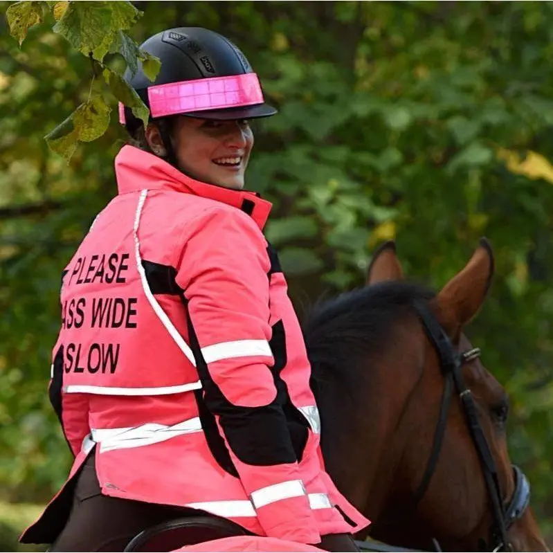 Equisafety Reflective Hi Viz Riding Hat Band - Pink 1