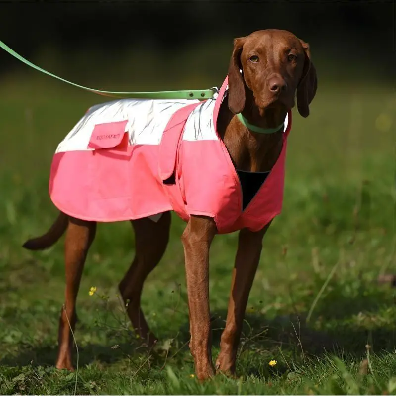 Equisafety Reflective Mercury Dog Rug - Pink 1