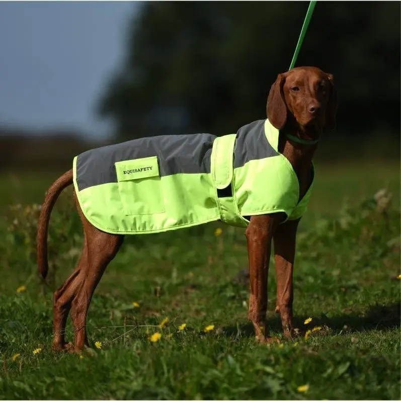 Equisafety Reflective Mercury Dog Rug - Yellow 1