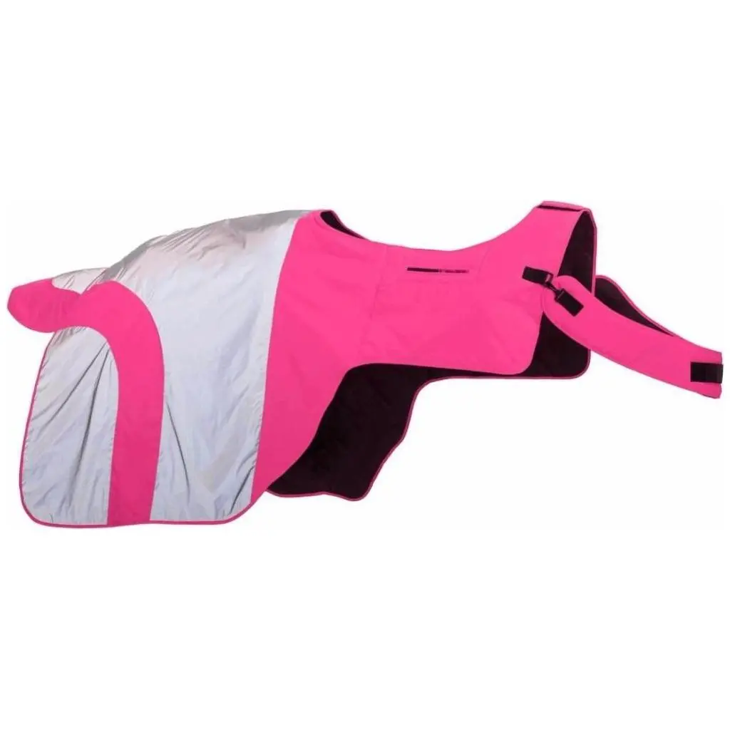 Equisafety Reflective Mercury Horse Hi Viz Exercise Rug In Pink 1