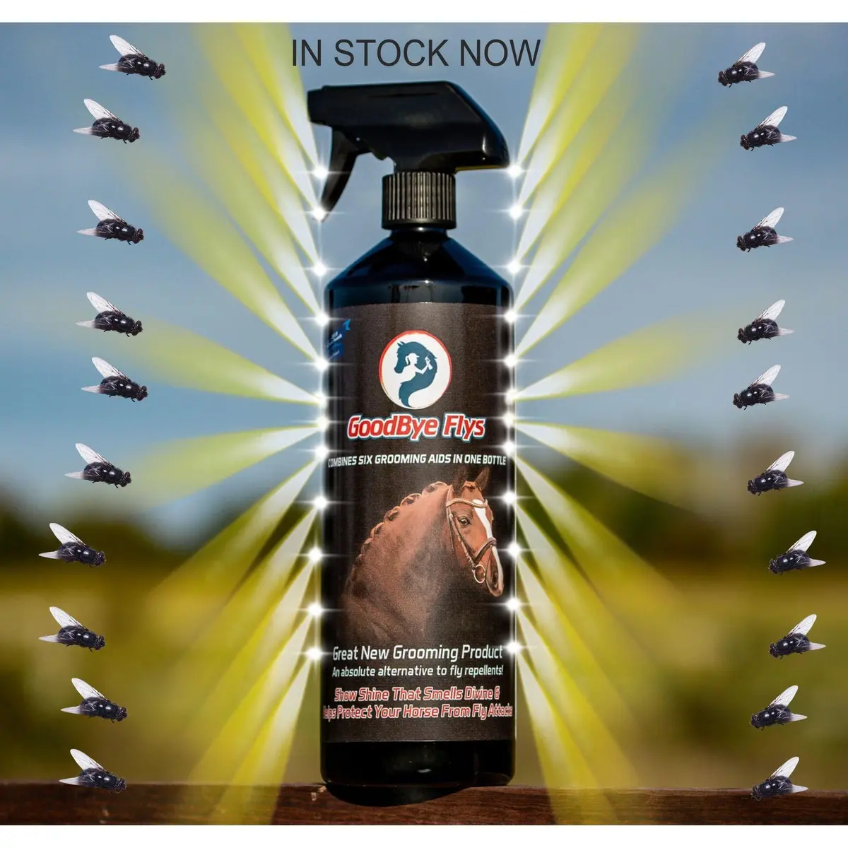 Goodbye Fly Spray "Best In Test" 1