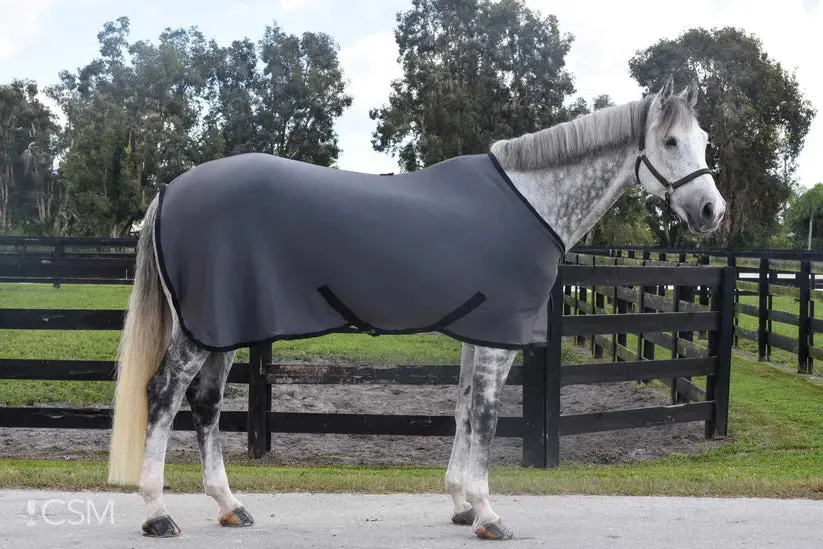 Fenwick Lt Blanket 1