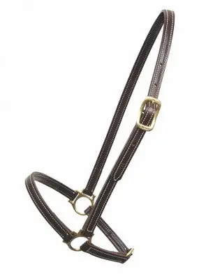 Leather Grooming Halter 1