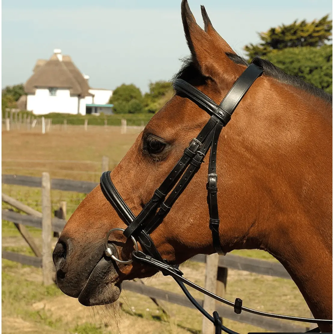 Heritage Leather Plain Bridle 1