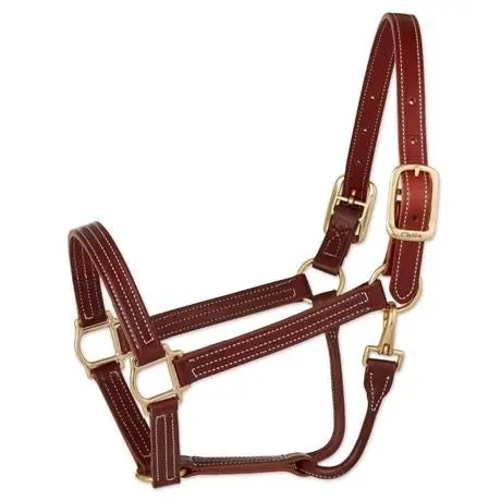 Walsh British Triple Stitched Leather Halter 1