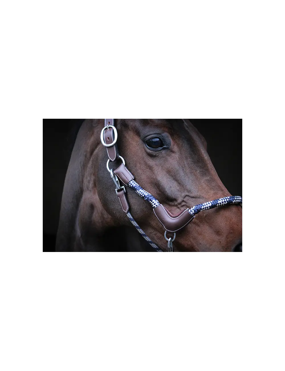 Jump'in Travel Rope Halter 2