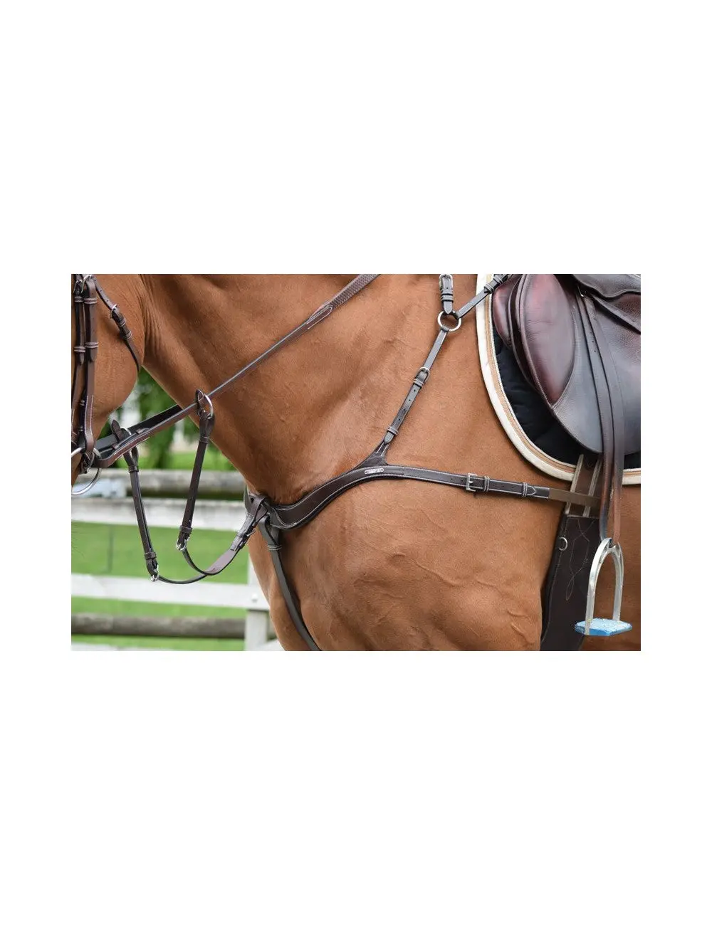 Jump'in 2 In 1 Breastplate And Martingale 1