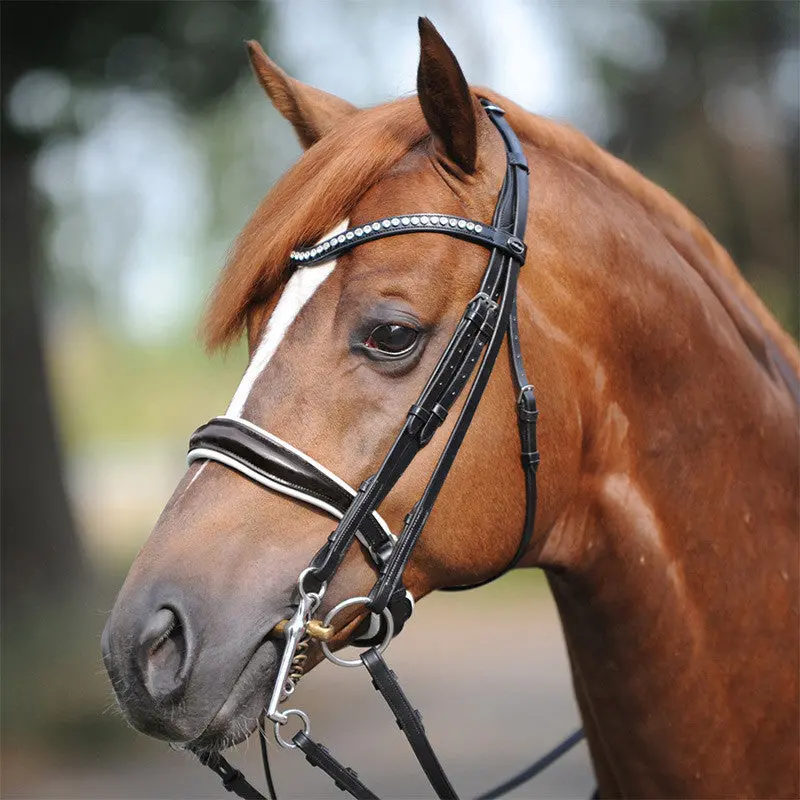 Kavalkade Weymouth "Antonia" Dressage Double Bridle--Clearance 1