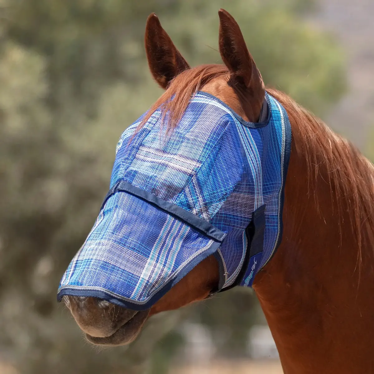 Fly Mask With Nose & 73% Uv Protection - Open Top Design 4