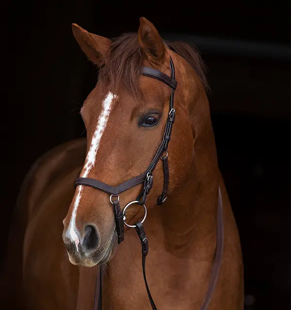 Horseware Ireland Rambo® Micklem® Original Competition Bridle 1