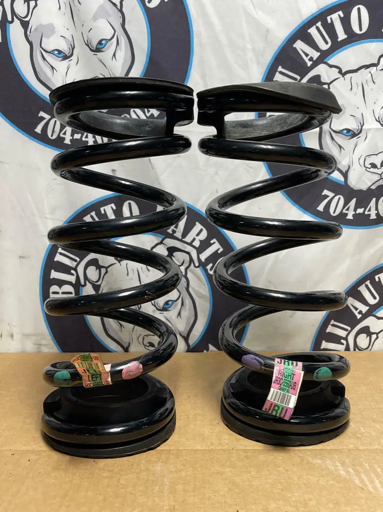 2015-23 Ford Mustang Performance Pack Rear Springs 197 1