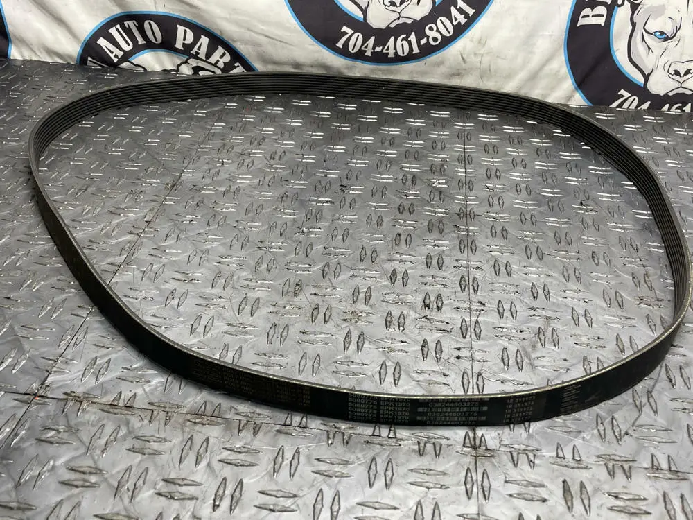 Dayco Poly Rib Heavy Duty Belt (5080775 8Pk1970) 277 1