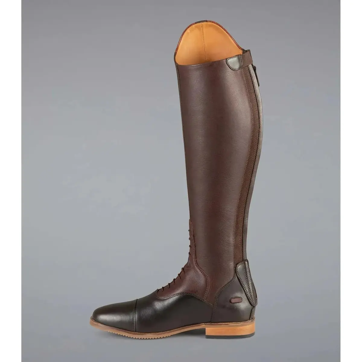 Passaggio Ladies Leather Field Tall Riding Boot-Brown - Delivery Late August 3