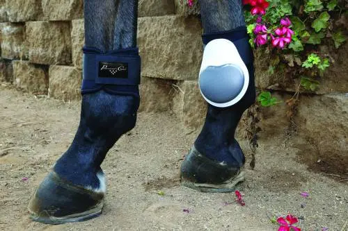 Professional's Choice Pro Performance Fetlock Boots 1