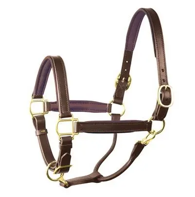 Perri's 1" Leather Padded Halter 1