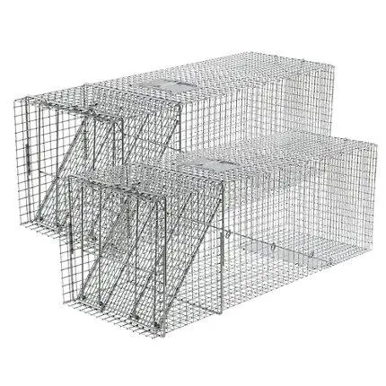 Havahart® X-Large 1-Door Trap 1