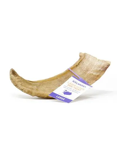 Icelandic+ Large Lamb Horn Dog Treat 1