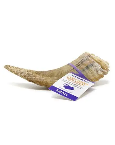 Icelandic+ Small Lamb Horn With Marrow Dog Treat 1