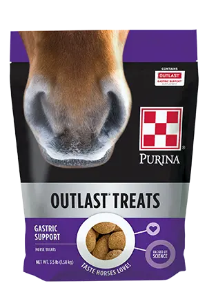 Purina® Outlast® Horse Treats 1