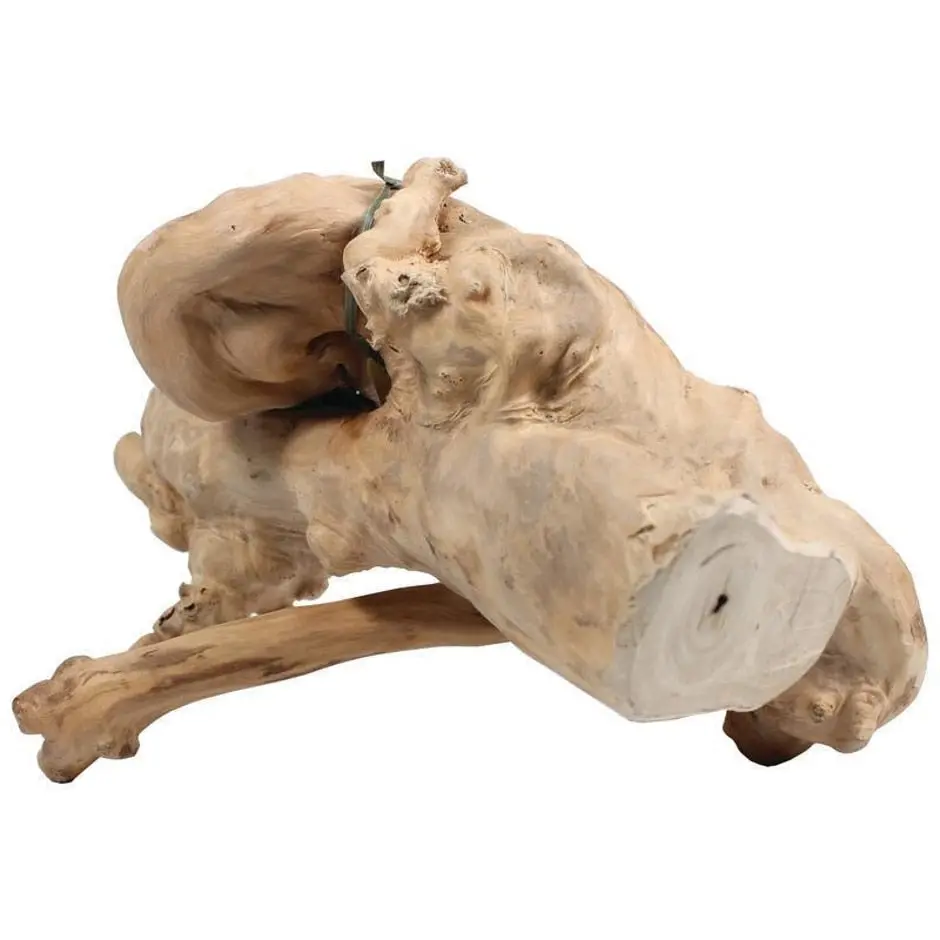 Java Wood Reptile Branch 1