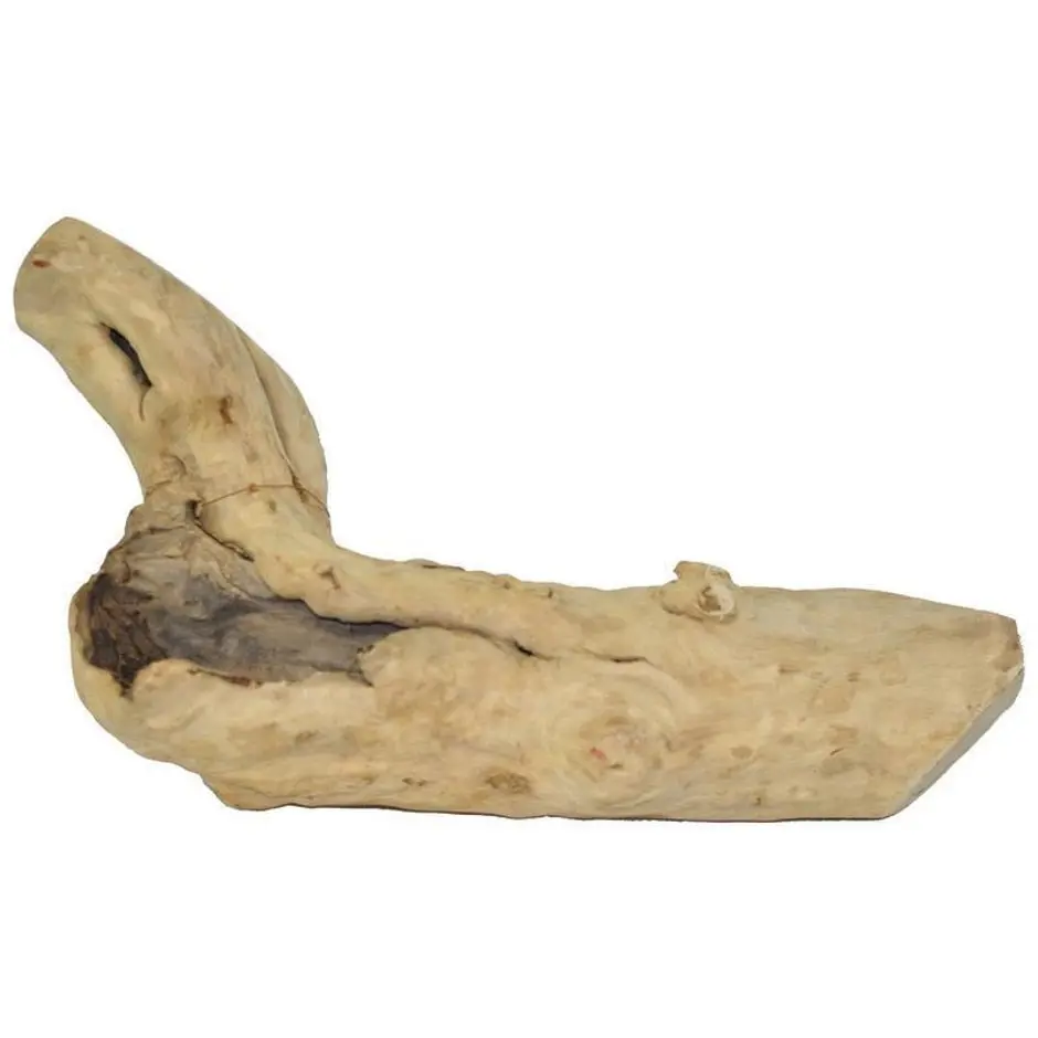 Java Wood Reptile Branch 1