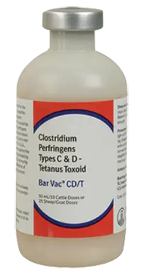 Boehringer Ingelheim Bar-Vac Cd/T Cattle, Sheep And Goat Vaccine 1